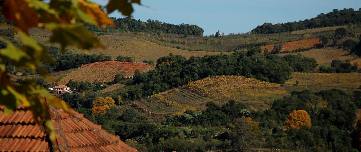 PLAN-VALE: O Futuro do Vale dos Vinhedos Está em Construção